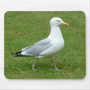 Seagull walking in the Park Mouse Mat