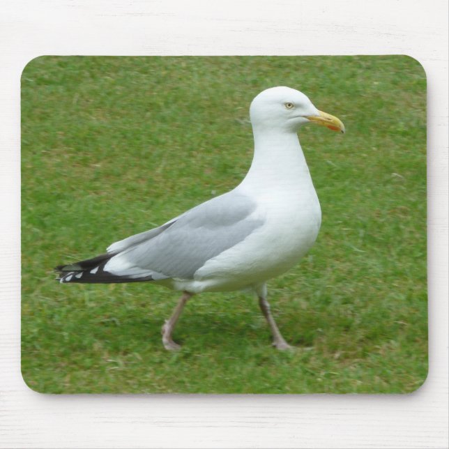 Seagull walking in the Park Mouse Mat (Front)
