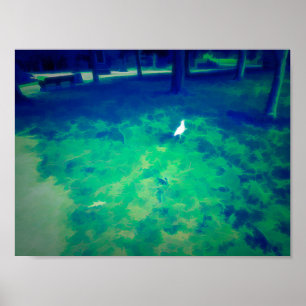 Seagull Walking on Grass Liquify Art Effect Poster