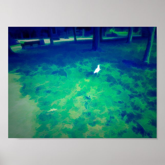 Seagull Walking on Grass Liquify Art Effect Poster (Front)