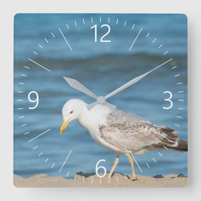 Seagull walking on the beach square wall clock (Front)