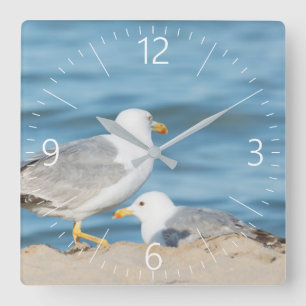 Seagull walking on the beach square wall clock