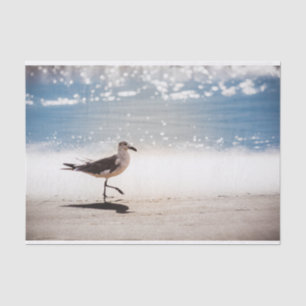 Seagull Walking on Virginia Beach Tissue Paper