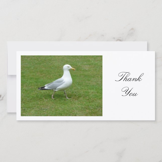Seagull Walling in the Park - Thank You (Front)