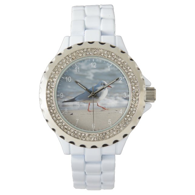 Seagull Watch (Front)