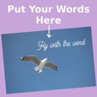 Seagull White Grey Blue Inspiration Photo