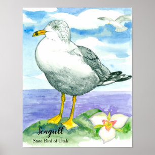 Seagull White Ocean Bird Watercolor Lake  Poster