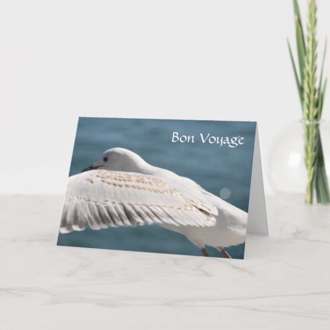 seagull wishes card (Front)