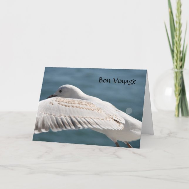 seagull wishes card (Front)