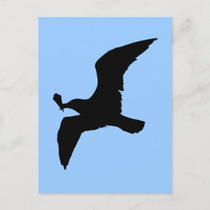 Seagull With Icecream Postcard
