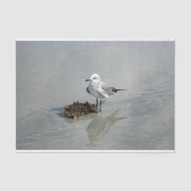 Seagull with Seaweed Tissue Paper (Front)