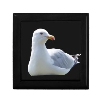 Seagull Wooden Keepsake Gift Box