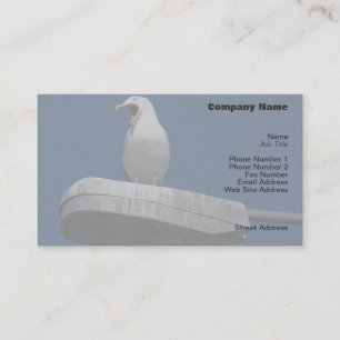 Seagull Yawning Profile Card