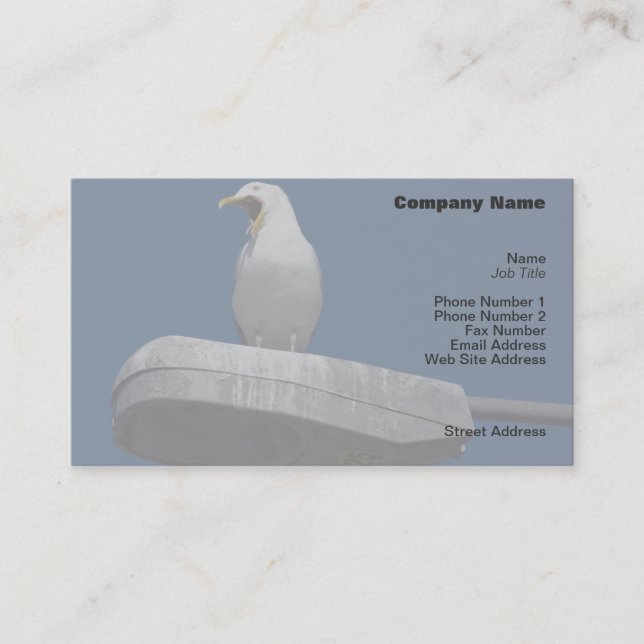 Seagull Yawning Profile Card (Front)