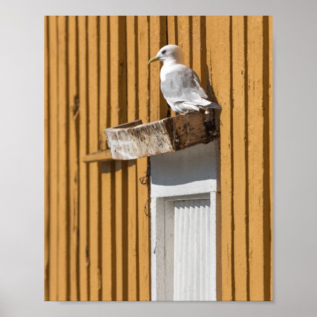 Seagull Yellow House Poster (Front)