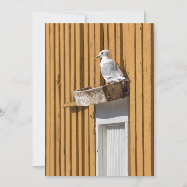 Seagull Yellow Norwegian House Photo Holiday Card (Front)