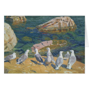 Seagulls, 1910