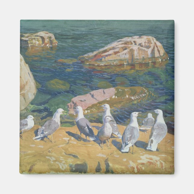 Seagulls, 1910 magnet (Front)