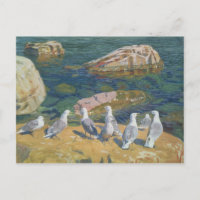 Seagulls, 1910