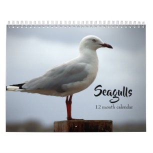 Seagulls 2025 calendar