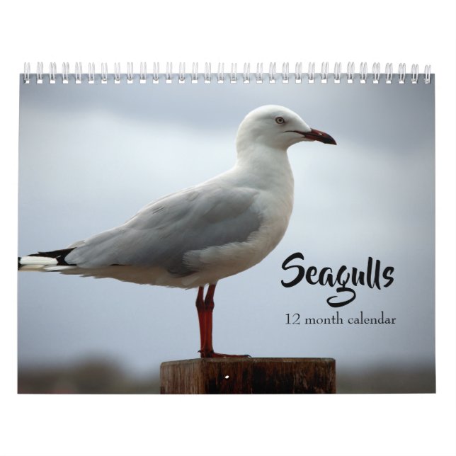 Seagulls 2026 calendar (Cover)
