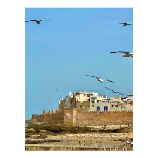 Seagulls and the City. - Essaouira, Morocco Photo Print