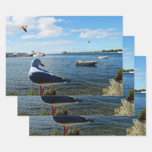 Seagulls At Beach Watching Boats, Gift Wrap Sheets