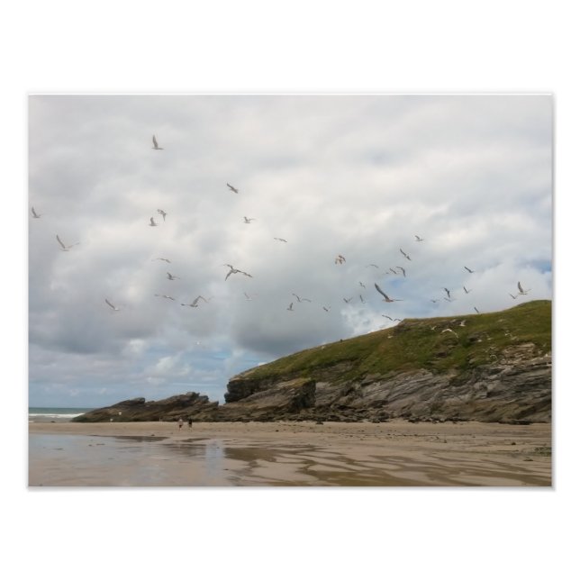 Seagulls at Porth Beach Newquay Cornwall Photo Print (Front)