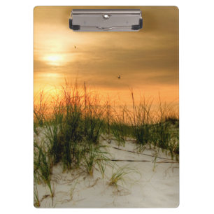 Seagulls at Sunrise Clipboard