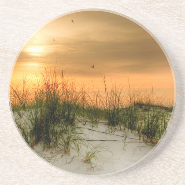 Seagulls at Sunrise Coaster (Front)