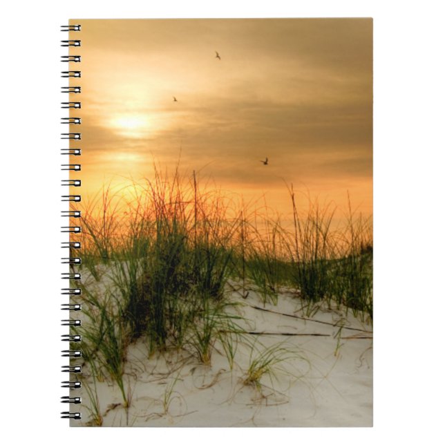 Seagulls at Sunrise Notebook (Front)