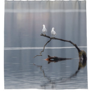 Seagulls Birds Water Blue White Peaceful Wildlife  Shower Curtain