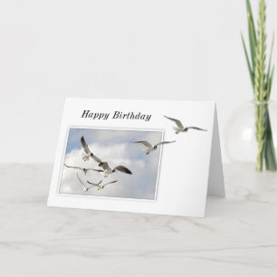 Seagulls Birthday Card