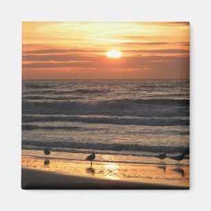 Seagulls by the Sea at Sunset  Magnet