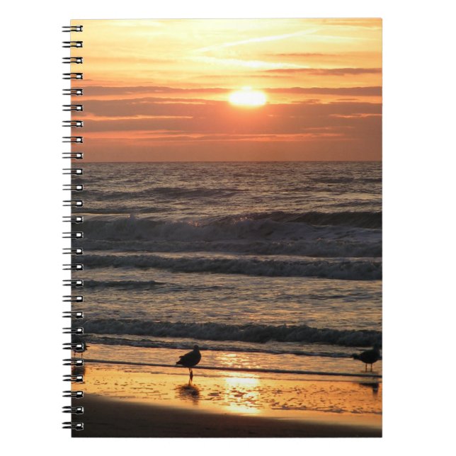 Seagulls by the Sea at Sunset  Notebook (Front)