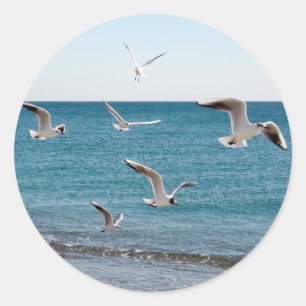 Seagulls Classic Round Sticker