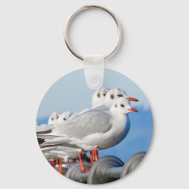 Seagulls Cute Bird Key Ring (Front)