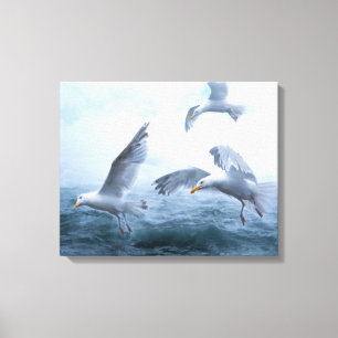Seagulls Flight over the Sea Canvas Print