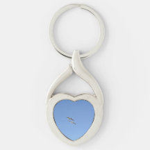 Seagulls Flying High -