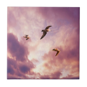 Seagulls flying in a sunset sky tile