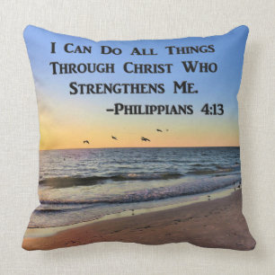 SEAGULLS FLYING PHILIPPIANS 4:13 PILLOW