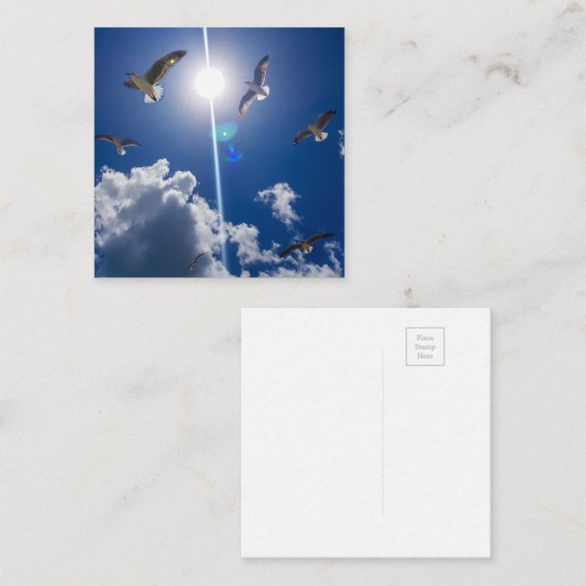 Seagulls Flying Sky Clouds Sun Enclosure Card (Front/Back)