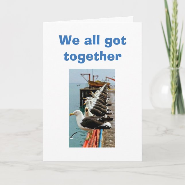 SEAGULLS GOT TOGETHER AND LANDED FOR BIRTHDAY CARD (Front)