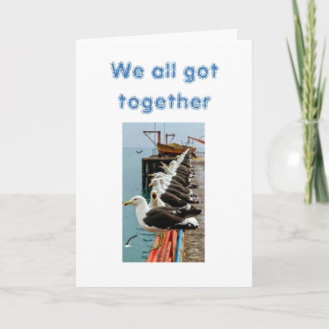 SEAGULLS GOT TOGETHER AND LANDED **YOUR BIRTHDAY** CARD (Front)
