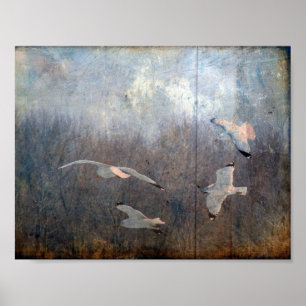 Seagulls Grunge Poster