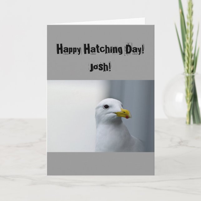 Seagulls Happy Hatching Birthday Card (Front)