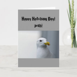 Seagulls Happy Hatching Birthday Card