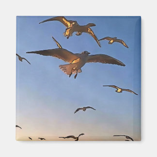 Seagulls In Flight Black Outline Art Magnet