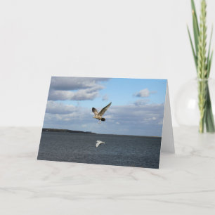 Seagulls in Flight Card