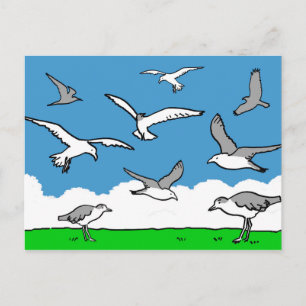 Seagulls in flight postcard